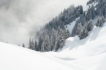 Winter in Oostenrijk van René de Vries