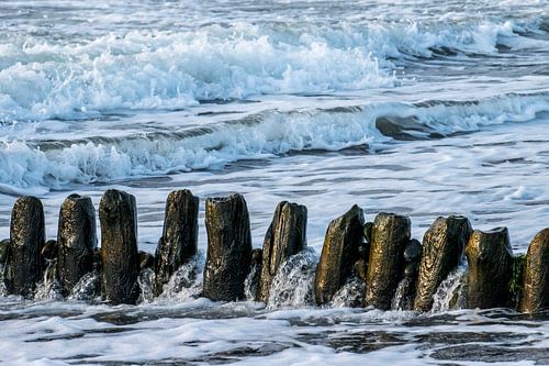 Reihe von Masten im Meer von Arina Keijzer