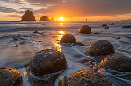 Golden coastal hour