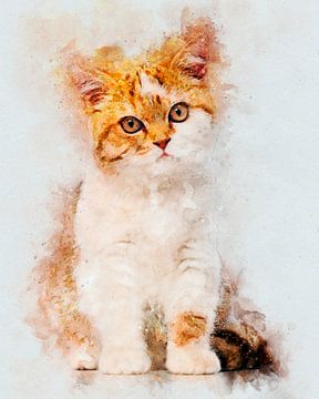 British Shorthair sur Pictura Designs