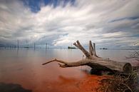 Matu Island van Anand Rambaran thumbnail