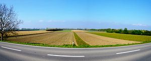 Landstraße und Felder