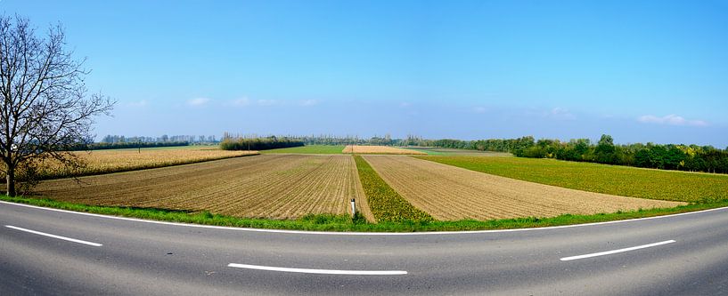 Landstraße und Felder von Leopold Brix