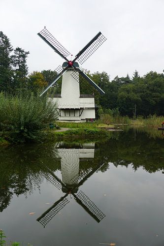 Paltrokmolen in het Openluchtmuseum in Arnhem