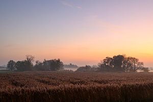 Sonnenaufgang über dem Fluss IJssel an einem schönen Herbstmorgen