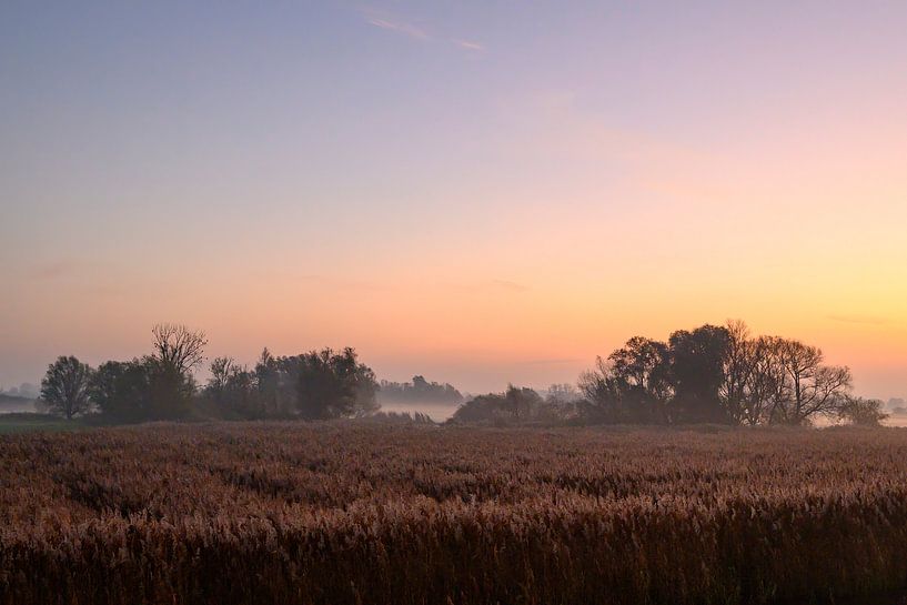 Sunrise over the river IJssel during a beautiful autumn morning by Sjoerd van der Wal Photography