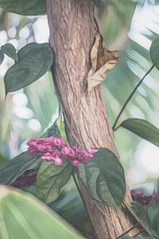 brightening up by Yvette Bauwens