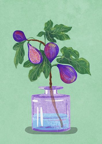 Branche de figuier dans un vase