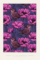 Anemoon Roze