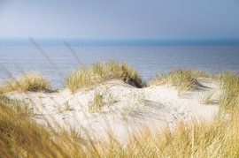 Dune landscape at the North Sea by Danny Tchi Photography