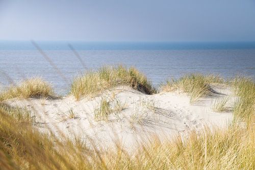 Duinlandschap aan de Noordzee