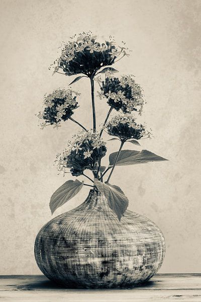 fleurs dans un vase par Klaartje Majoor