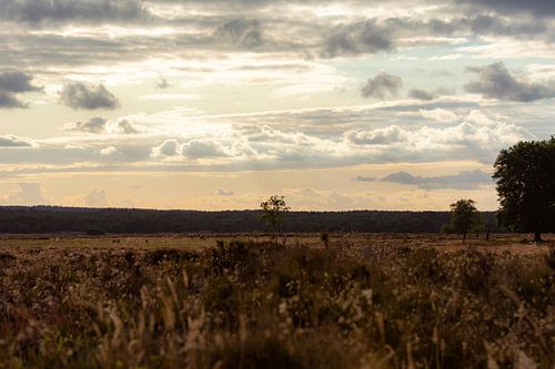 clouds over the veluwe