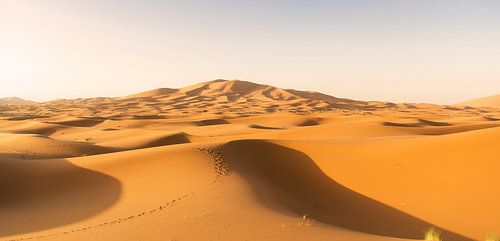 Chebbi erg in Marokko