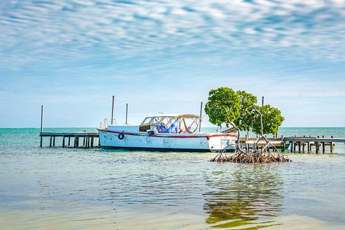 Een boot aan een pier op Caye Caulker in Belize
