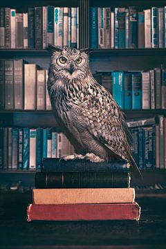 The old wise owl van Elianne van Turennout