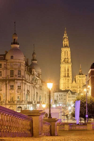 La cathédrale d'Anvers en soirée par Dennis van de Water