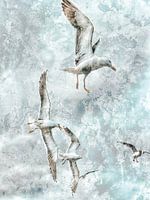 Birds