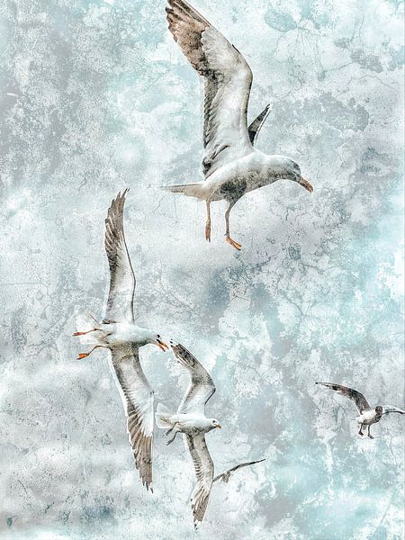 Birds by Gitta Reiszner
