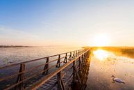Zonsopgang bij de Federsee bij Bad Buchau van Werner Dieterich thumbnail