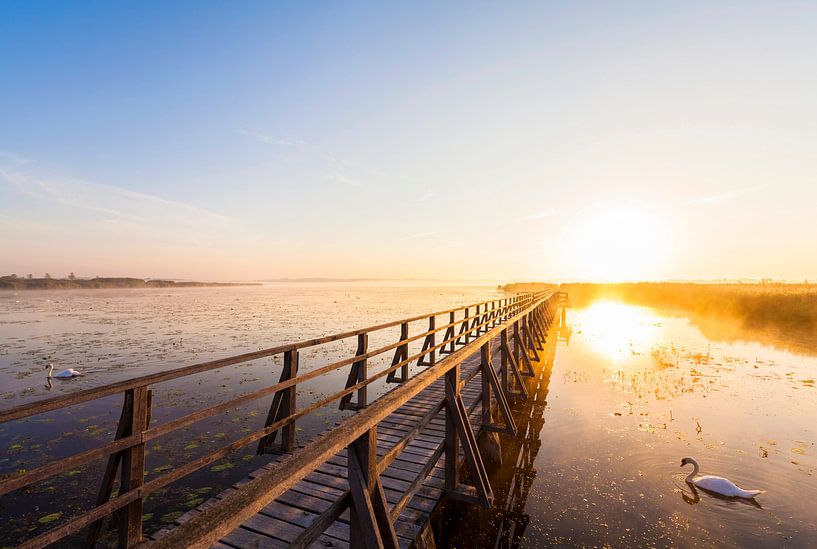 Zonsopgang bij de Federsee bij Bad Buchau van Werner Dieterich