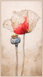Minimalistische Mohnblume und Samenkapsel im asiatischen Aquarellstil