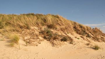 Dunes and clear blue sky