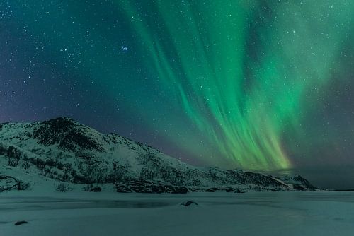 Noorderlicht boven de Lofoten