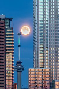 Rotterdam Supermaan van Dieter Twenhoven