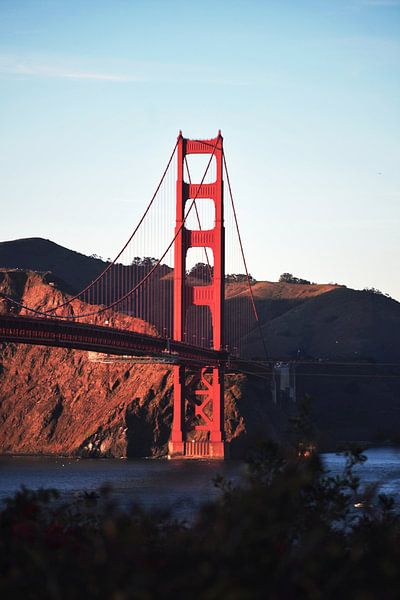 San Francisco by Hello Pompoyo