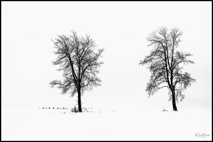 Sneeuwstorm von Wim Mourits