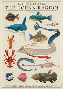 Marine Life from Hoenn