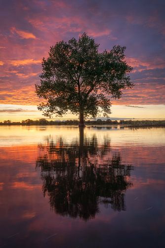Blazing Sunset Reflected in the Still Water