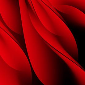Red rose leaves by sarp demirel