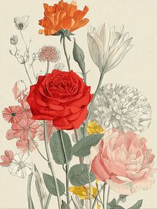 Zarte Rosen
