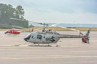 Bell TH-57C Sea Ranger met special livery. van Jaap van den Berg thumbnail