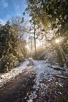 Winters landschap in de Voerstreek te Belgisch Limburg