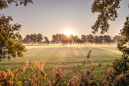 Doorkijkje op een mistige ochtend