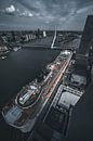 Rotterdamer Kreuzfahrtschiff und Erasmus-Brücke von vedar cvetanovic Miniaturansicht