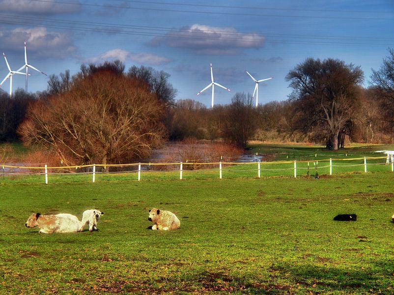 Vee van Edgar Schermaul