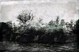 De Biesbosch National Park, the bank #02