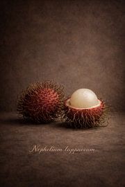 Rambutan in a Classic Still Life by Bert Quaedvlieg