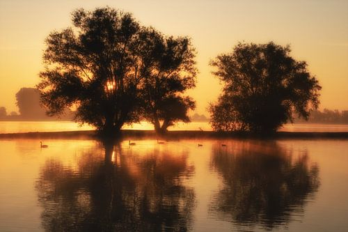 Zonsopkomst met bomen en water