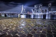 Bridges of Rotterdam van Kees Brunia thumbnail