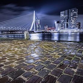 Bridges of Rotterdam van Kees Brunia