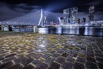 Bridges of Rotterdam van Kees Brunia