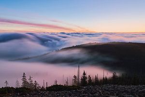 Nebelmeer am Lusen