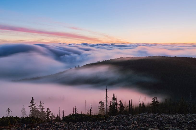 Sea of fog on the Lusen by Max Schiefele