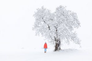 Vieil arbre et jeune femme