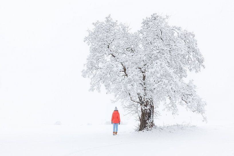 Old tree and young woman by Tilo Grellmann